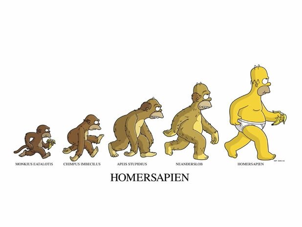 12 parodies evolution homme 16 parodies de lévolution de lhomme