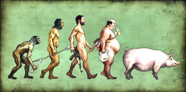 07 parodies evolution homme 16 parodies de lévolution de lhomme